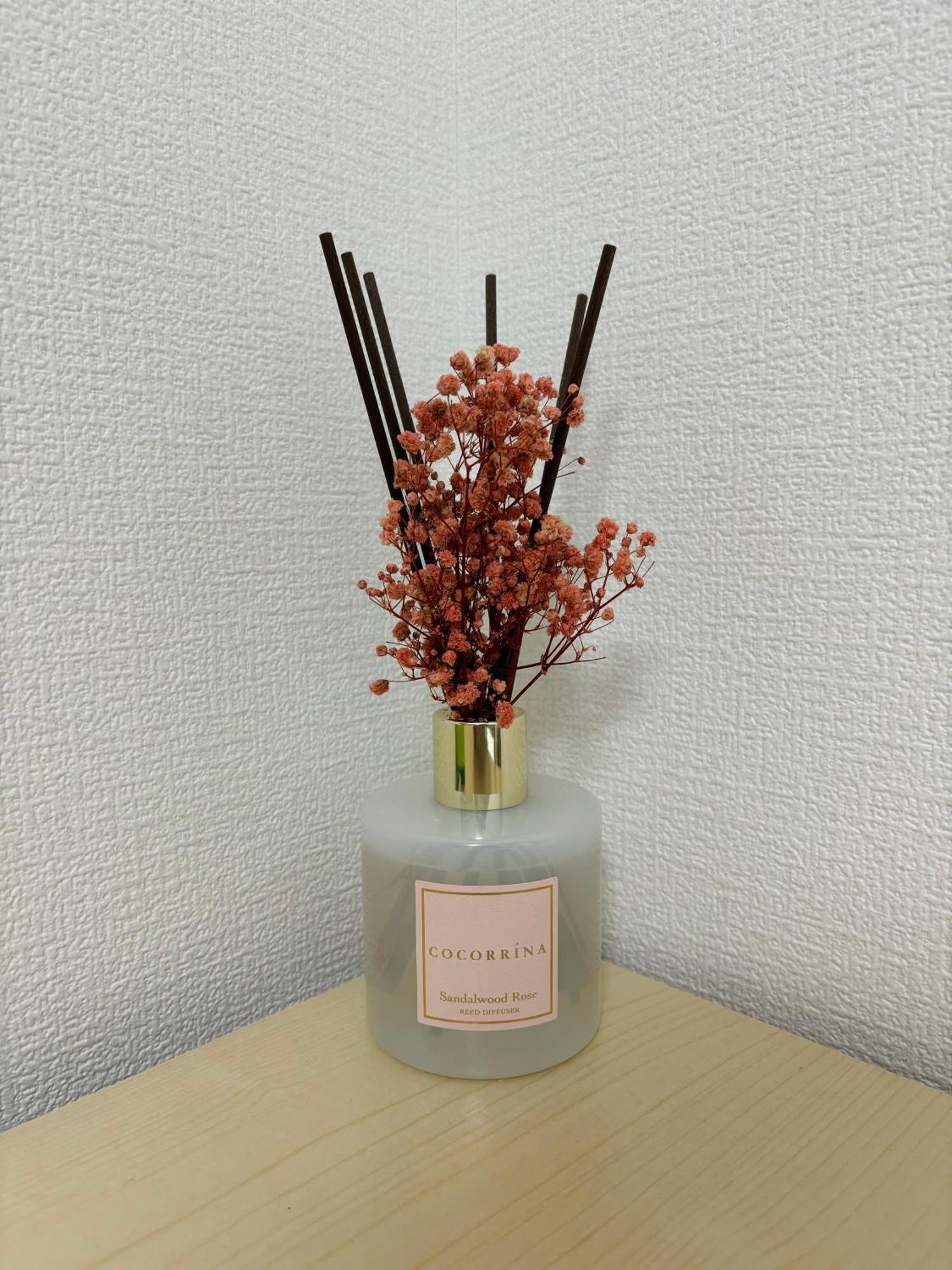 Bon House Kanamachi Direct To Sensoji Skytree Disneyland Airport Free Parking Tokyo Eksteriør bilde